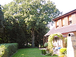 eiche garten